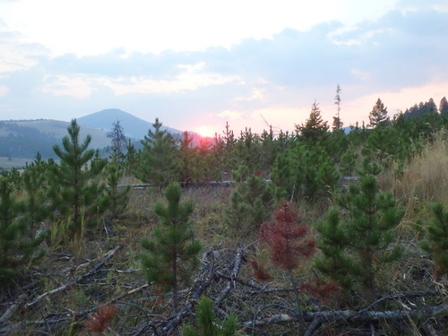 GDMBR: Sunset at our Stealth Camp.